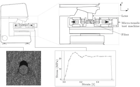 Fig. 2 Schematic illustration of the LSCM paired with the microtensile device for in-situ full field strain measurements.