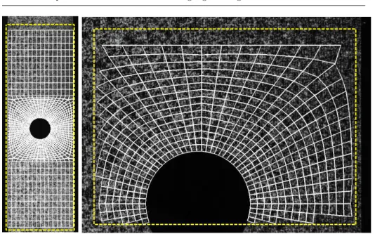 Fig. 9 Multiscale digital images with corresponding finite element mesh. The yellow lines correspond to the ROIs