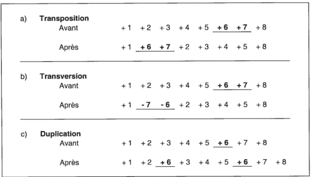 Figure 5 Exemple d’une transposition (a), d’une translocation (b) et d’une duplication (e).