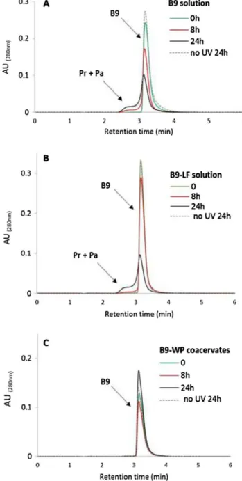 Fig. 1. Evolution of RP-HPLC profiles of vitamin B9 after exposure to UV light during 24 h