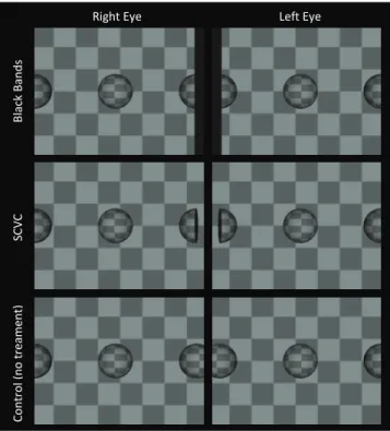 Figure 4.   Stereoscopic images in the 3 experimental conditions: 