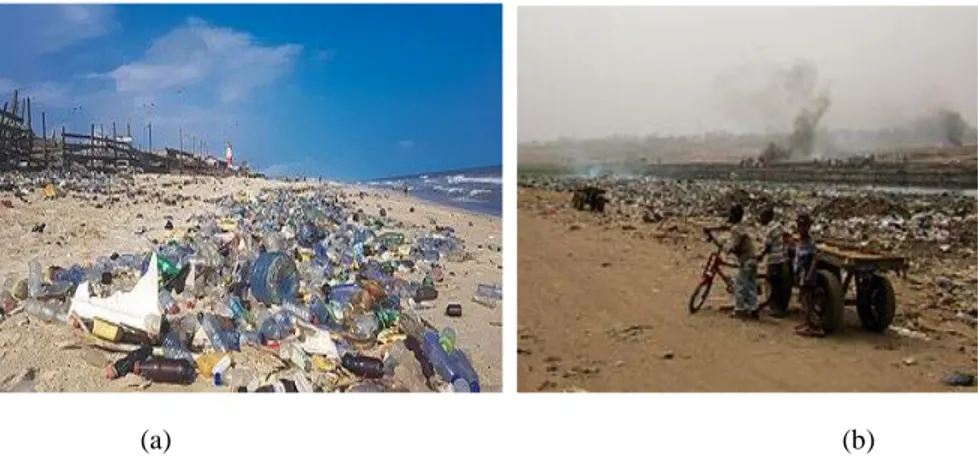 Figure  1a  &amp; b:  Plastic  waste  on  Ghanaian  Beach  (a)  and  collected  plastics  being  burnt  for  various  recycling  output  reasons
