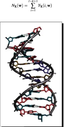 Figure 3.1: Hélice d'ADN.  L'adénine, la cytosine, la guanine et la thymine sont représentées en jaune,  rose, vert et mauve,  respectivement (image générée avec  Pymol  [20])
