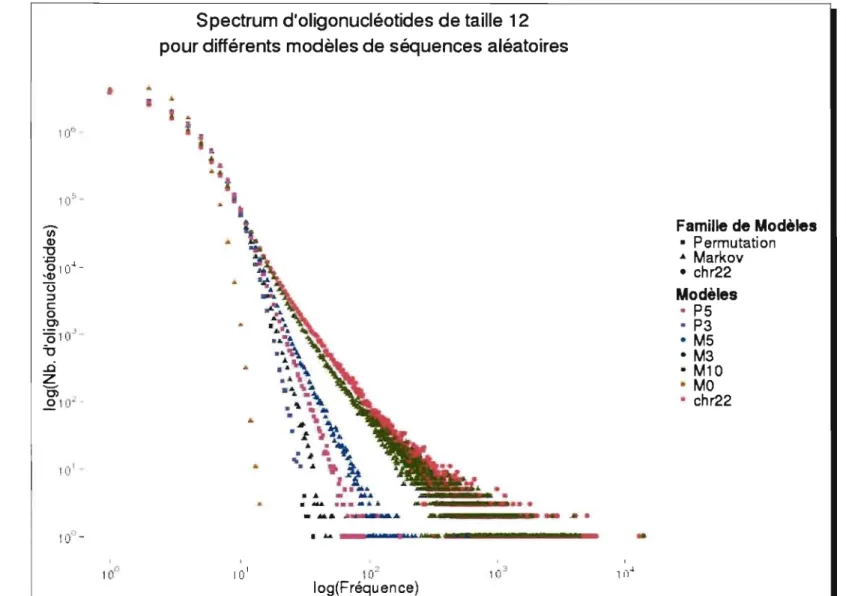 Figure 3.4:  Spectrum d'oligonuc1éotides de taille  12 du chromosome 22 du génome humain