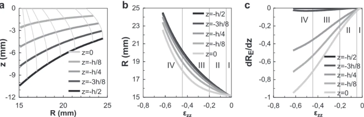 Fig. 8. Experimental data processing results: trajectories and profiles (at 1, 2, 3, 4, 5, 6, 6.5 s), radius R and profile slope dR/dz evolution with strain (sample 9, 800 &#34;C, 2 mm!s &#34;1 ) of five profile points.