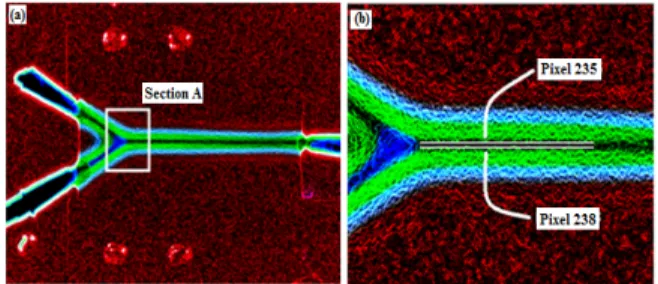 Figure 11. IR images in straight micro-mixer for (a)  initial state, (b) transient state and (c) steady state