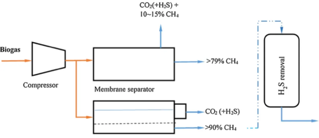 Fig. 5   Membrane biogas puri- puri-fication process combined with   H 2 S removal (hybrid system)
