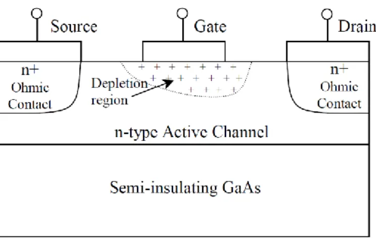 Figure I.1: Cross section of a GaAs MESFET device. 