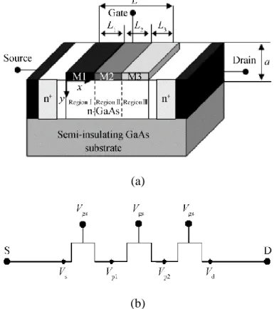 Figure III.1: (a) Cross-sectional view of the analyzed TM GaAs MESFET. 