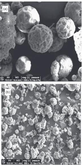 Fig. 1. Scanning electron microscopy of samples (a) NzPC-PHBHV/