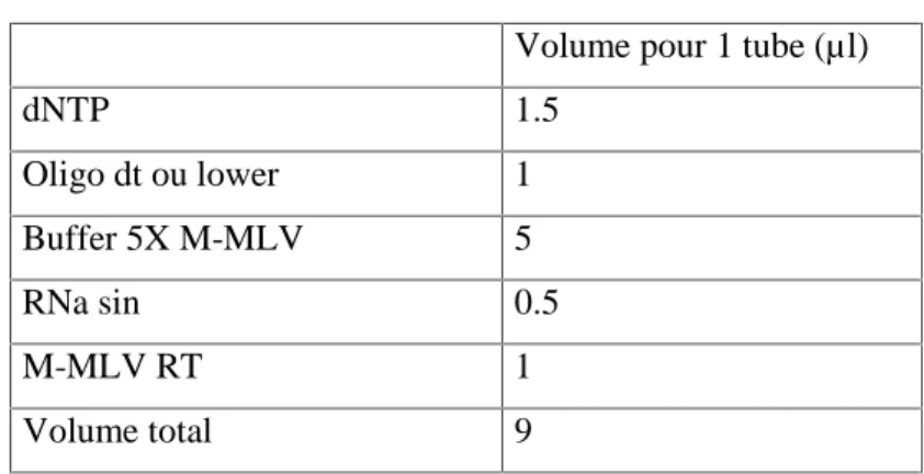 Tableau 2. Composition du Mix pour la RT.