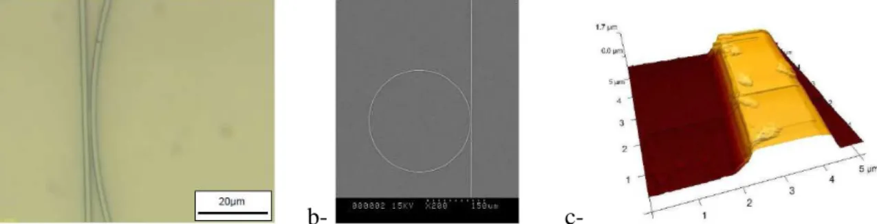 Figure 6 : Images obtenues lors de la création d’un microrésonateur par : -a : microscopie optique ; -  b : au MEB ; -c : analyse du guide droit par AFM