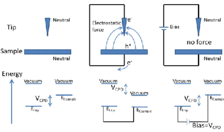 Fig. 1. Illustration of the basic setup of KPFM. 