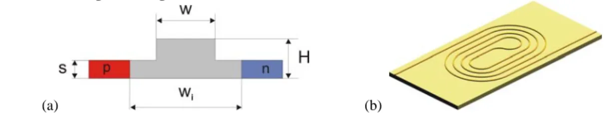 Fig. 1. Structure of the used nano-rib waveguide (a) and its realization with a spiral (b) for a small footprint
