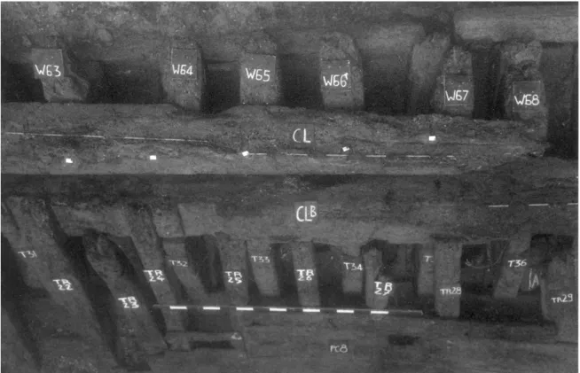 Figure 3 – Vue verticale de l’emplanture : W = varangues tribord; CL = carlingue ;     CLB = carlingot bâbord ; TR = traverse ; T= taquet (coignet) 