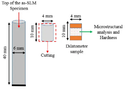 Figure 2. Schematic of dilatometer samples and their designated location for microstructural analysis  and micro-hardness measurements