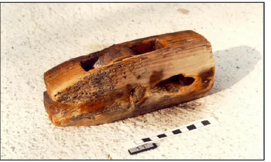 Figure 22 - Epave de Cavalaire (Var) - Poulie estropée n°CV1 – 1 – 94 -11 18 Cette poulie morphologiquement proche de celle de la  Mary Rose  (voir  ci-après) est cependant plus petite, le cul a une section rectangulaire, l’engougure n’est pas continue.