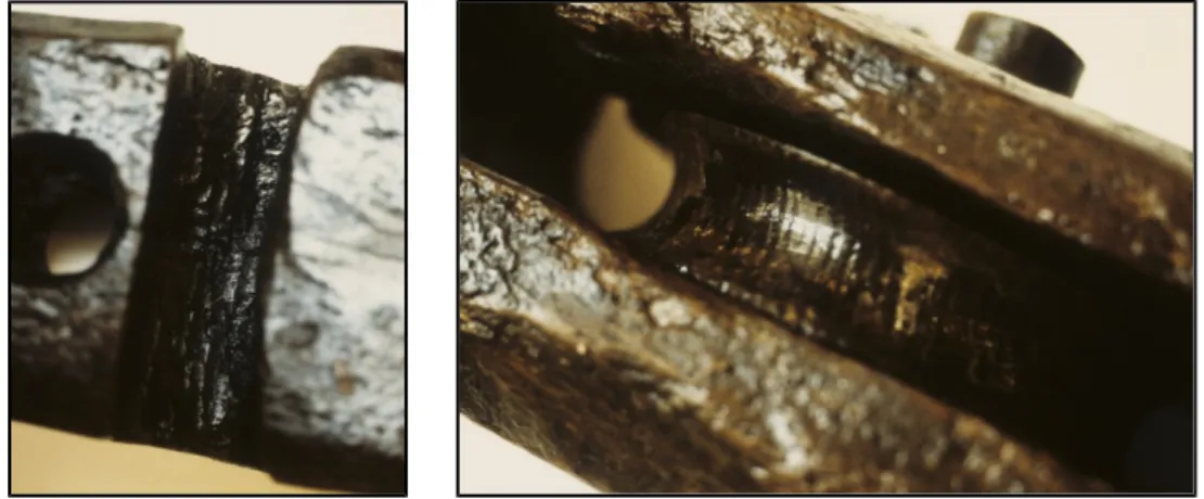 Figure 37 – Poulie A 281 (détails) (Photos J.C. Hurteau IRAA/CNRS) Cette poulie coupée ou galoche était appelée pastèque au XVIe siècle