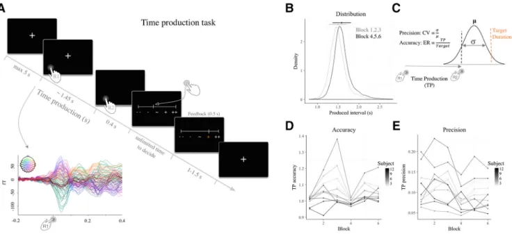Figure 1. Probing behavioral precision (CV) and accuracy (ER) using a time production paradigm