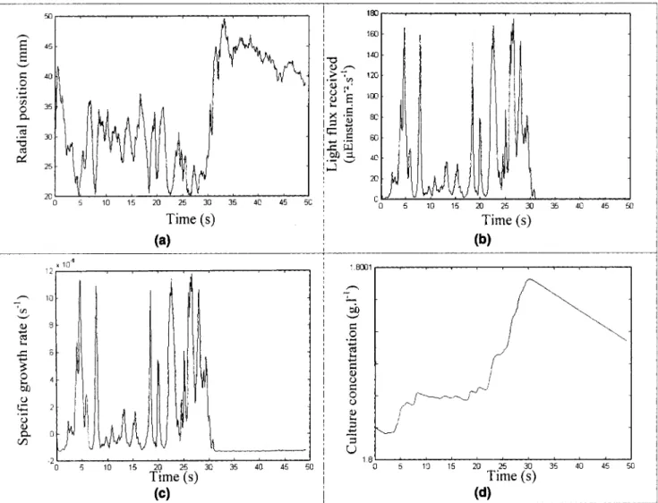 Figure  13.  Example of  progressive determination of the culture growth using the Lagrangian approach