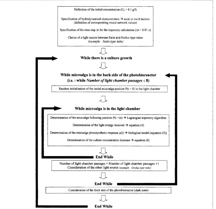 Figure  14.  Global algorithm for batch culture simulations. 