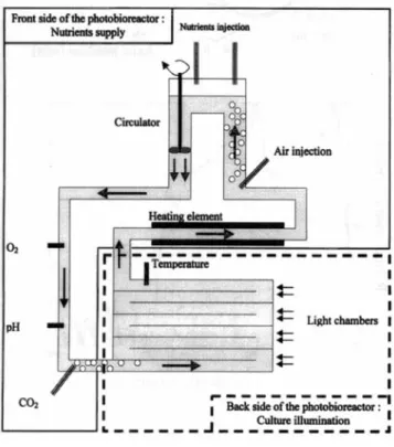Figure  3.  Photobioreactor. 