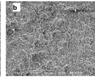 Fig  2  Surface morphology of (a) Zn–Ni alloy coatings and (b) Zn–Ni–Al 2 O 3  (30 g /l Al 2 O 3 ),  (c) Zn–Ni–Al 2 O 3  (50 g /l Al 2 O 3 ) Composite coatings deposited at 30 mA/cm2, T = 30 °C, and  pH 3-4,5 for 60 s