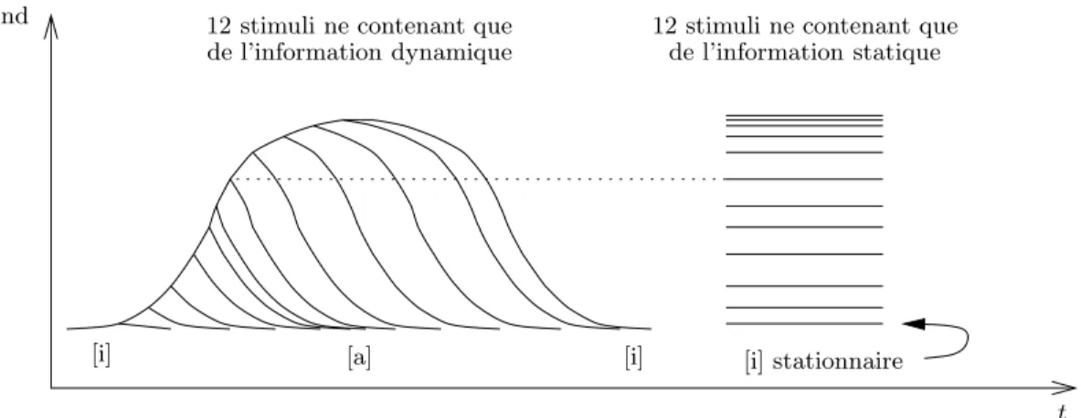 Fig. 1: Construction de voco¨ıdes. Le graphique repr´esente un indice fictif prenant une valeur basse ou haute respectivement pour la production d’un [i] ou d’un [a]