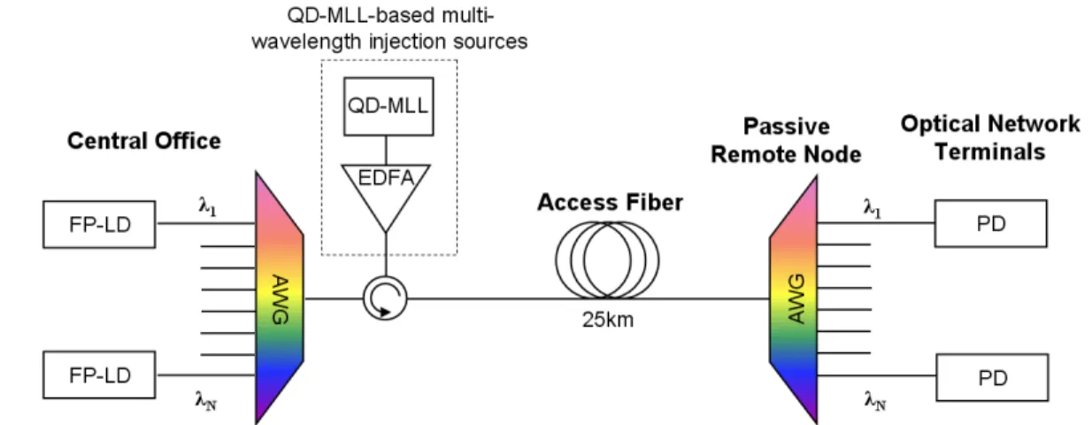 Figure 9: A simplified architecture of WDM access system using IL-FP and multi-wavelength master source based on quantum-dash  mode-locked laser 