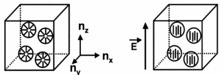 Figure 3: Schematic representation of the n-PDLC material behaviour with and without an electric field