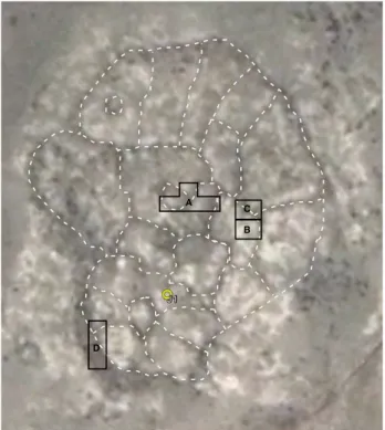 Fig. 9 - « Aggrégat Cellulaire » d’Arteni - image satellite  et implantation des secteurs de fouille 