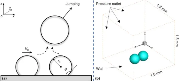 Fig. 1. (a) Schematic diagram of droplet jumping induced by coalescence of a moving droplet and a static one