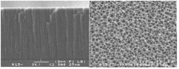 Fig. 1. Scanning electron micrographs of the porous silicon film. (left) side view at low magnification showing the 30 µm thick porous layer attached to the silicon substrate