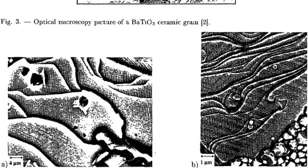 Fig 4. SEM back scattered images showing a typical domain configuration on (100) growth