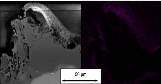 Fig. 17. SEM image (left) and EDS cartography for oxygen (right) of SiC aggregate after active oxidation at 11 MW/m 2 for 90 s.