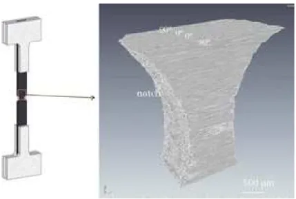 Fig. 4 – 3D reconstruction of notched sample.