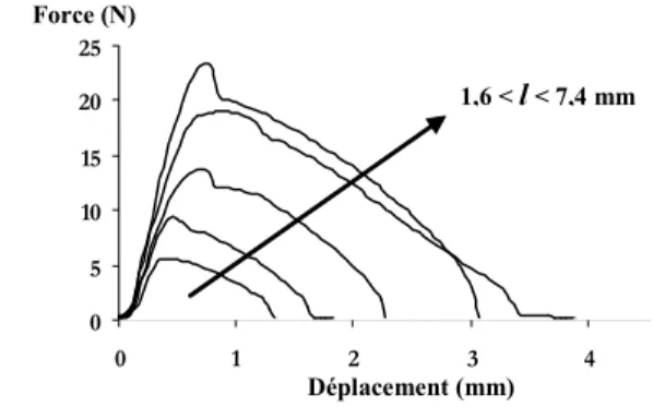 Table 1: Samples analyzed by the EWF method 