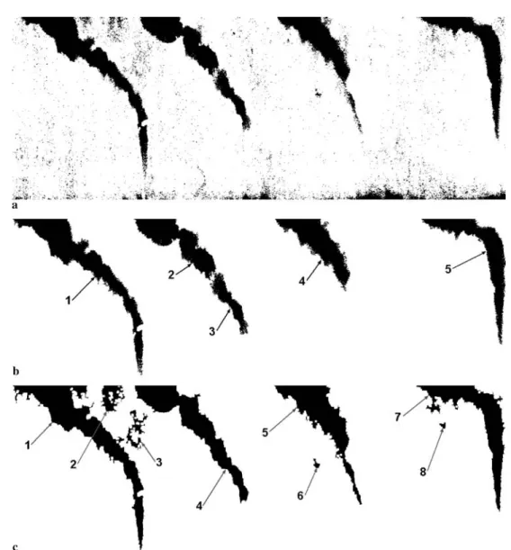 Fig. 8 The effect of closing operation: image before closing operation (a), after closing operation made by kernel of 2 × 2 pixels (b) and 5 × 5 pixels (c) (for clarity both b and c shown after removing small and bottom particles)