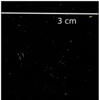 Fig. 2. Photograph of an OSR with defects at the lighting table.