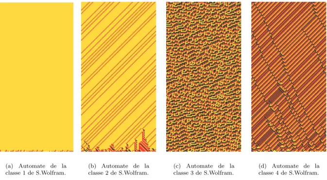 Fig. 12 – Automates caract´eristiques des classes de S. Wolfram.