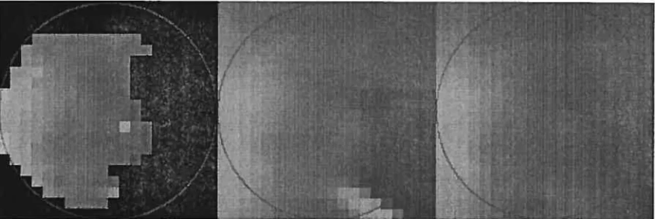 Figure 3.2. Intermediate steps in the processing of a lightsphere. Black rep resents undefined values and other intensities represent ratios (intensity = 100 * ratio)