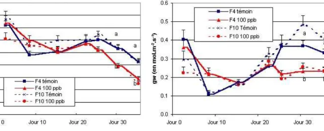 Figure 2.8 : Expérimentation Nancy 2003-2004 :  Evolution de la photosynthèse (assimilation nette de 