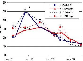 Figure 2.11 : Expérimentation Nancy 2003-2004 :  Evolution de l’assimilation de CO2 (A) chez le maïs 
