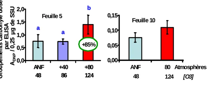 Figure 2.39 : Altération oxydative de la petite sous-unité de la Rubisco (DO DNP ) pour une unité arbitraire  (0,25 µg) de SSU (valeurs moyennes  ±±±±  écart-type, n=6) dans le cas de la feuille 5 issue de l’expérimentation 1 