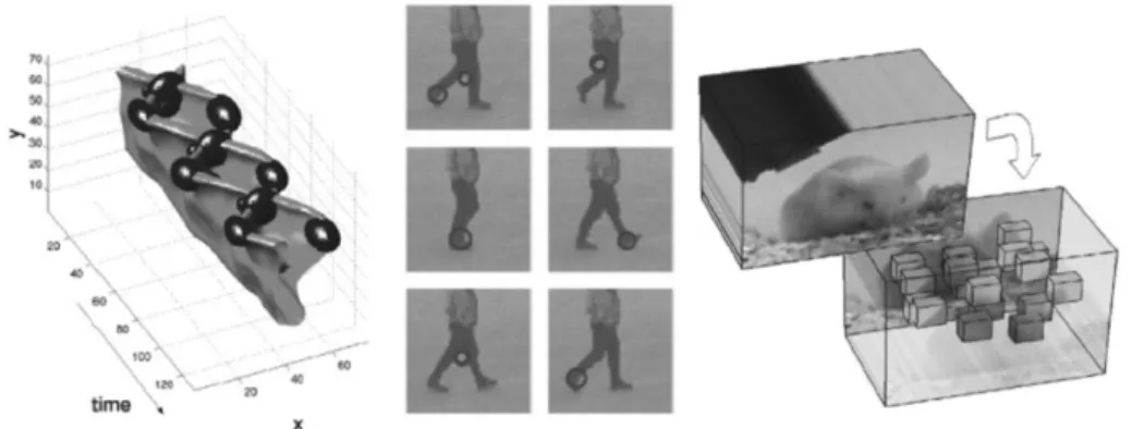 Figure 1.5 – Exemples de caractéristiques spatio-temporelles 3-D locales. Gauche : points d’intérêt extraits par la methode de Laptev et al