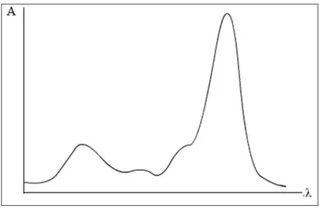 Figure I. 16:une courbe d'absorbance A en fonction de la longueur d'onde.