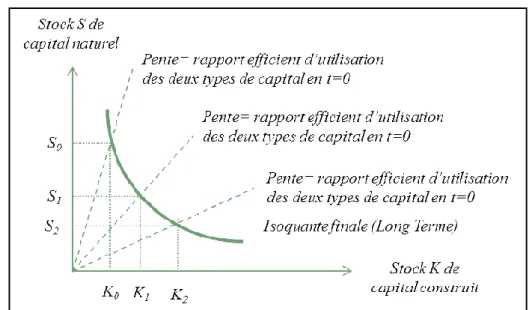 Figure 2 : Soutenabilité faible et substituabilité imparfaite à long terme entre capital  construit et capital naturel 