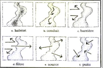 Figure 2. Les six fonctions d’un corridor 