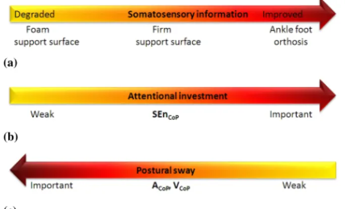 Fig. 3 Schematic overview drawing a parallel between the modula- modula-tion of the somatosensory informamodula-tion (Panel a), the CoP regularity, automaticity of control and attention investment assessed with SEn CoP (Panel b) and the postural sway asses