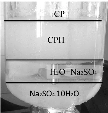 Figure 4. Photo of the experiment with Na 2 SO 4  at 8%, 5.4°C following the slow procedure